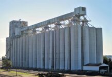 How to Properly Store Livestock Feed for Preservation