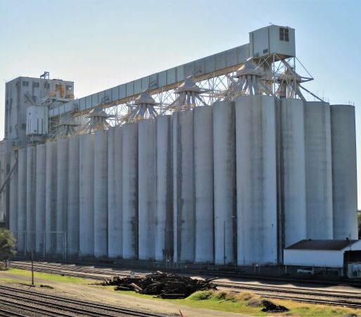 chris-linnett-ml5oOt1aaug-unsplash (002)