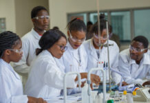 African Development Fund helps create thousands of jobs for youth in Malawi