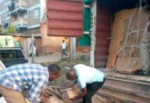 Risk-averse strategies won’t weather the trade storm