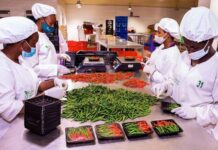 Rwanda agricultural export earnings jump by 45 per cent in one year, report