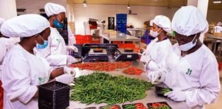 Kenya secures Chinese market access for dried chillies, opening new export opportunities