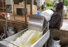 Relief for trading partners as Kenya lifts ban on powdered milk imports