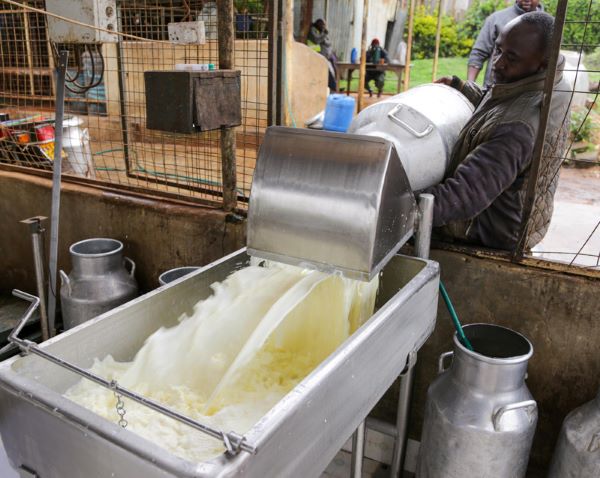 Relief for trading partners as Kenya lifts ban on powdered milk imports