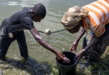 IFAD officials to meet government authorities and small-scale farmers in Angola