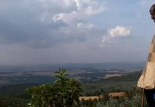 Carbon finance in agriculture helps build sustainable future in Africa: World Bank