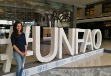 Japan and FAO support 4 countries analyse food security data