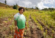 Time to step up investments in rural communities on the frontline of climate change in the Pacific islands