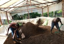 Kenyan youth helps farmers fix tired soil with locally manufactured organic fertiliser