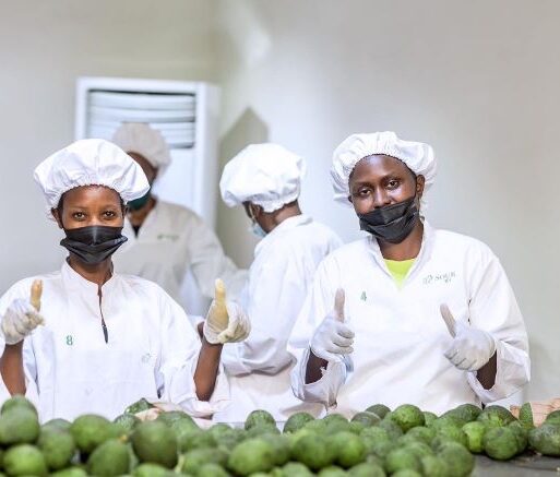 Rwanda’s Souk Farms workers (002)
