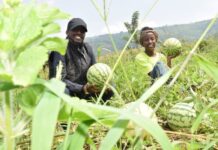 Over 200,000 Rwanda smallholders to benefit from $30m market access project