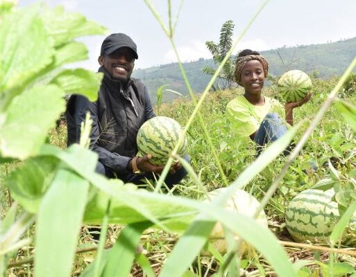 Some Rwanda Youth in Agriculture Forum members in their watermelon farm. The farmers willbe among the beneficiary of a project lauched to boost market access of the (002)