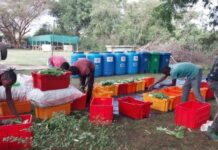 Tanzania to take over abandoned horticulture estates to boost the sector