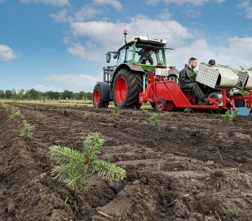 Transplanting_2_Topcon