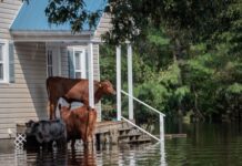 Protecting African Farms From Flooding