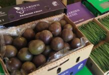 Rwanda signs $62.89 million project with IFAD to facilitate smallholders in export-driven value chains