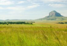 Bringing Renewable Energy to Rural Africa