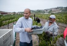 How Can We Make Agriculture Safer for Workers?