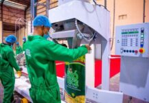 Bühler and Nigerian government collaborate to enhance rice production and food security