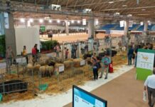 Agrilevante, the great Mediterranean trade exhibition