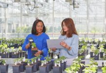 Bayer’s Grants4Ag Program Awards 21 Crop Science Research Grants for 2023