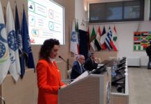 Mechanisation, growing demand in the Mediterranean despite critical issues