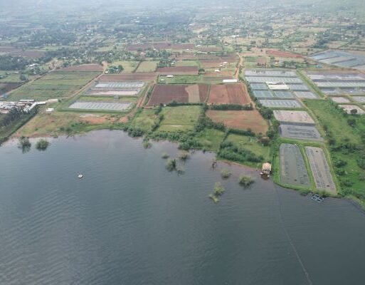 DJI_0147 (002)
