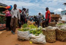 Uganda private sector unveils fruits market project to create jobs for the youth and women