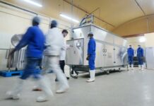 Case Study: Upcycling BSG Waste to Produce Value-Added By-Products