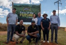 McCain Farm of the Future Africa set to transform potato farming in South Africa