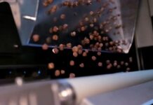 Ten good reasons why ‘trusted togetherness’ boosts profitability at food processors and packhouses