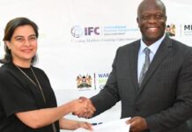 Kenya partners with IFC in Ksh306m plan to boost grain storage for smallholder farmers