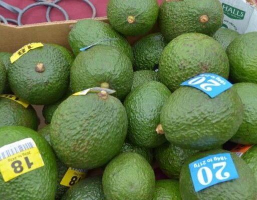 Kenyan avocadoes ready for export. The country’s harvest season started last month and will run ton late this year_ (002)