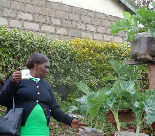 Kenyan urban farmer at her backyard kitchen gardern (002)