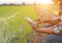 Going Green at Nampo