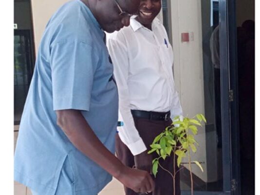 Uganda scientists invent bioplastics for wrapping nursery seedlings from farm wastes