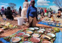 Seed farming can help alleviate poverty in Africa