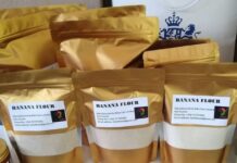 Group of Kenyan single mothers unlocking their economic potential through banana value addition