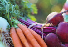 Why Traceability is Key to a Sustainable Future in South African Agriculture