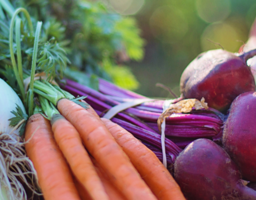 Sustainable Future in South African Agriculture