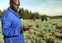 Digital platform launched in Uganda to aid farmers’ access to vital farming services