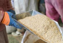 Over $800,000 project to improve food safety in public health and trade launched in Rwanda, Uganda