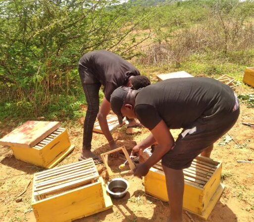 Youth working for Beegift Products and Services are constructing beehives at the company ground (002)