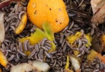 $15M additional funding to tackle food waste around the world