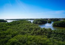 Landscape Restoration Essential for African Agriculture