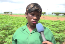 Viviane, a young graduate swearing by agriculture to achieve her dreams