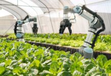 Agricultural Robots: Revolutionizing Agriculture through Robotic Solutions