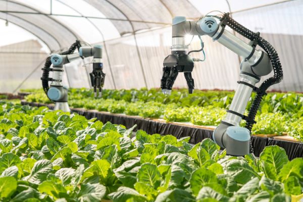 Agricultural Robots Revolutionizing Agriculture Through Robotic Solutions