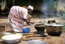 Smokeless Cooking Stoves: Cleaner Air, Better Health, Less Pressure on Woodlands