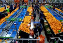 ClemenGold international has an open hand